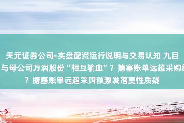 天元证券公司-实盘配资运行说明与交易认知 九目化学北交所IPO：与母公司万润股份“相互输血”？搪塞账单远超采购额激发落寞性质疑