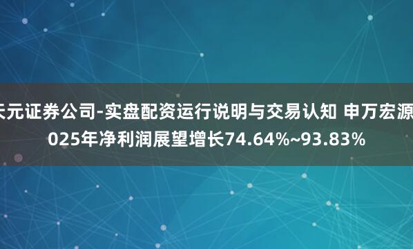 天元证券公司-实盘配资运行说明与交易认知 申万宏源2025年净利润展望增长74.64%~93.83%